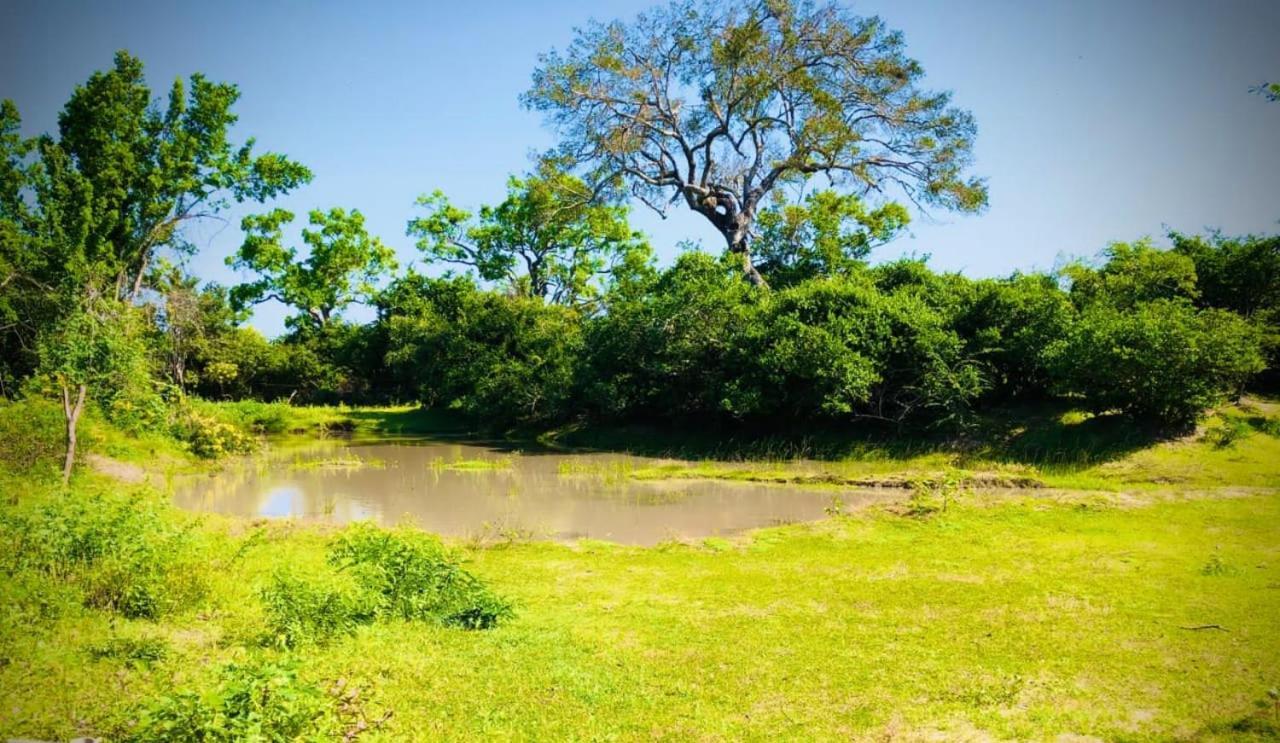 ホテル Eden ヤーラ エクステリア 写真